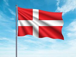 OEDIM Danmarks flagga | 150 x 85 cm, förstärkt och sömlös, flagga med 2 metallöljetter och vattentäta