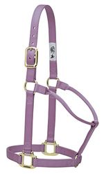 Weaver Leather Originele niet-verstelbare nylon paardenhalter, klein, lavendel