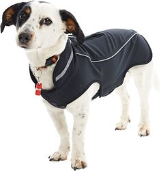 Buster Softshell