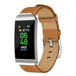 Denver Electronics BFH-250 Wristband activity tracker Marrón, Plata IP68 2,44 cm (0.96") Inalámbrico