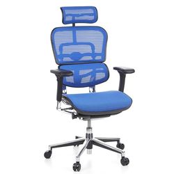 hjh OFFICE 652150 Fauteuil de Direction de Luxe ERGOHUMAN Maille Bleu Chaise de Bureau supérieure pivotante