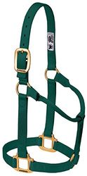 Weaver Leather Originele niet-verstelbare nylon paardenhalter, groot, jagergroen