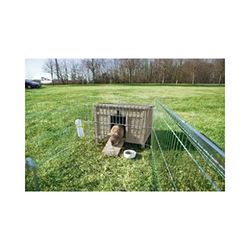 TRIXIE Afsluitbaar en weerbestendig hok voor kleine knaagdieren Natura 60 × 47 × 50 cm, grijs-groen - 62399