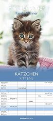 Kitten 2024 Family Planner - Family Calendar - Wall Calendar - 19.5 x 45: by Sabine Rath