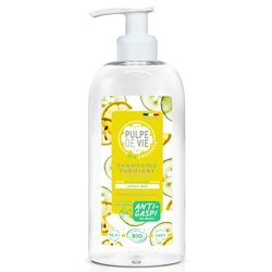 Pulpe de Vie - Shampooing Purifiant Certifié BIO Sorbet Givré XL 400ml - Anti-gaspi ! Citron - Ingrédients Naturels et Respecteux - Purifie et Assainit les Cheveux Gras