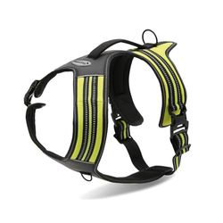 Record - Harnais pour Chien Action Alpes - Jaune - Taille M - Matière : Nylon Tressé avec Bandes Réfléchissantes 3M ScotchLite - Circonférence 60-72 cm