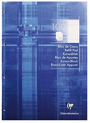 Cursusblok A4 4-gaats perforatie 100 afscheurbare bladen geruit 5x5mm