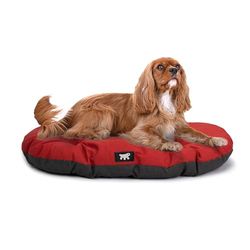 Ferplast Cuccia Cane Relax, Cuscino per cani di taglia media, Cuccia Gatto, Tappetino per cucce e auto -Lavabile - in Cotone con Soffice Imbottitura, 78 x 50 m. Rosso