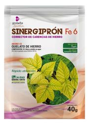 SINERGIPRON Fe 6-MS 40 g