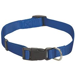 CHAPUIS SELLERIE SLA166 Collar ajustable de perro - Correa de nailon azul - Ancho 25 mm - Largo 38-65 cm - Talla L
