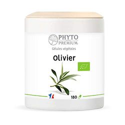 OLIVIER feuille – Olea europea – 180 gélules 200 MG (BIO)