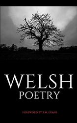 Welsh Poetry: Disguised Secret Hidden Password Organizer Log