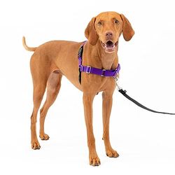 PetSafe Easy Walk Imbracatura per Cani