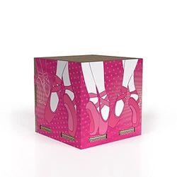 Rippotai Cubo Boîte à jeux Ballet pour chambre avec illustration Chaussures de danse Petite 24 cm