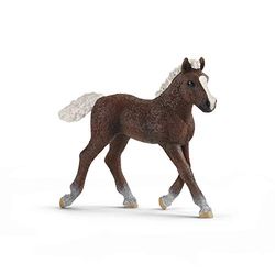 Schleich - Potro Black forest (13899)