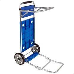 ColorBaby - Multifunctionele trolley met uittrekbare stangen, belastbaar tot 30 kg actief, meerkleurig (Baby 62284)