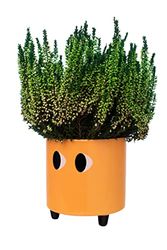 Fisura - Original blomkruka med ögondesign. Dekorativ kruka för inomhusbruk. Kruka med ben för kaktusar. Keramikkruka för blommor och suckulenter. 13 x 12,5 cm. (Orange)
