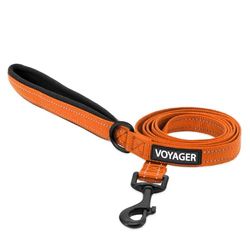 Voyager Laisse réfléchissante pour Chien avec poignée en néoprène, 1,8 m de Long, Convient aux Chiots de Petite, Moyenne et Grande Race, Mignonne et Robuste pour la Marche, la Course et Le Dressage –