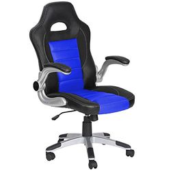 Eliza Tinsley Furniture Racing Car Style Manager's Desk Chair - Black/Blue