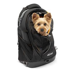 Petsafe Kurgo Rugzak voor Kleine Honden en Katten, Zwart