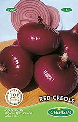 Oignon Red Creole