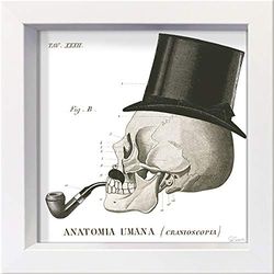 Internationellt grafiskt inramat vykort – SCHLABACH, Sue – "Dandy Bones II" – 16 x 16 cm – vit ram