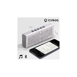 CuboQ ig111627 – Altoparlante con Bluetooth, colore: argento