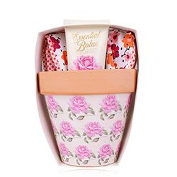 Accentra Set per la cura delle mani Essential Botanics in vaso di fiori, crema per le mani, crema per le unghie profumata con bellissimi guanti da giardino