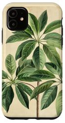 Money Tree Vintage Scientific Illustration Plant Case for iPhone 11