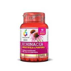 Colours of Life Echinacea Angustifolia e Purpurea - Integratore di Echinacea - Sostiene la Funzionalità delle Prime Vie Respiratorie - Vegano, 60 Capsule
