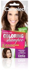 Cameleo - Shampooing colorant – Prune sauvage – Rafraîchissement rapide et facile des couleurs – Coloration lavable – Ton dans ton – 40 ml