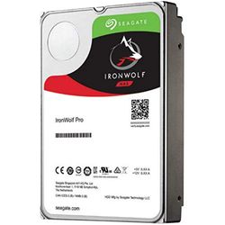 SEAGATE HDD NAS 3,5 inch 4TB 7200RPM 256MB IRONWOLF Pro, zwart, standaard