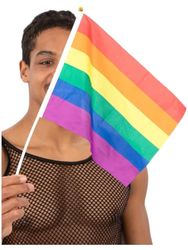 Smiffys- Hand Held Rainbow Flags, 45x30cm, 12pk Drapeaux Arc-en-Ciel à Main, Adulte Unisexe, Multicolore