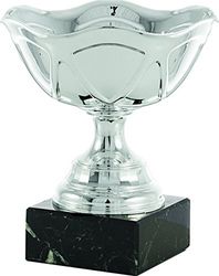 art-trophies AT82311 Trofee Sport, zilver, eenheidsmaat