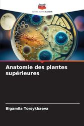 Anatomie des plantes supérieures