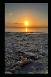 Live.Love.Nature. Sunset 1