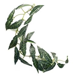 Leaf Designa konstgjorda hängande växter