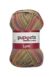 Puppets Lyric Multicolor, épaisseur : 8, présentation : 50 g, longueur : 70 m, fil à crochet india