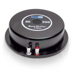 Reckhorn Haut-Parleur excitateur 200 W Sinustec St-BS 250 4 ?