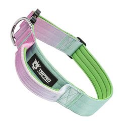 TSPRO Premium Hondenhalsband met Handgreep, Verstelbare Dikke Halsband met Snelontgrendelbare Gesp, Zwaar Belastbaar voor Middelgrote tot Grote Honden (Cyan Gradiënt L)