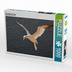 Puzzle da 1000 pezzi in volo