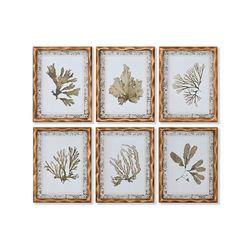 Home ESPRIT Tableau Vert Beige doré Plantes botaniques 28 x 2,8 x 36 cm (6 unités)