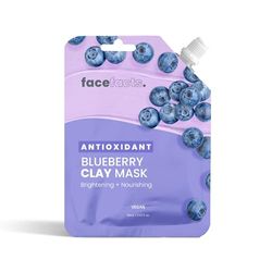 Face Facts Antioxidant Blueberry Kaolin Clay Face Mask | Brightens + Nourishes | Vegan