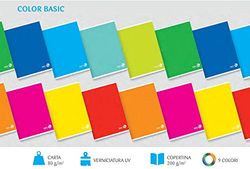 B&M notitieboek Maxi A4 Color Basic, Linee 1A 2A Elementare A, 80 gr