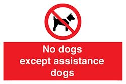 Cartello con scritta "No dog except assistance dog", 600 x 400 mm, formato A2L