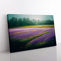 Effervescent Bluebell Field Canvas Wall Art Print Ready to Hang, Framed Picture for Living Room Bedroom Home Office Décor, 76x50 cm (30x20 Inch)