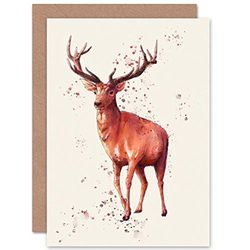 Wee Blue Coo Red Deer Watercolour Greetings Card Cp3221