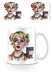 DC Comics MG25855 Mug, Ceramic, 11 Ounces , White
