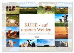 Kühe - auf unseren Weiden (Wandkalender 2025 DIN A4 quer), CALVENDO Monatskalender: Nutztierrassen in Deutschland, dieser Kalender zeigt einige Kuh ... alternativen Haltungsform, der Weidehaltung.