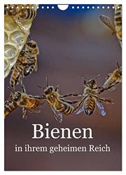 Bienen in ihrem geheimen Reich (Wandkalender 2025 DIN A4 hoch), CALVENDO Monatskalender: Die Geheimnisse des Bienenstocks